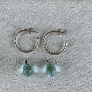 Pandora Fascinating Beauty Blue Compose earrings.